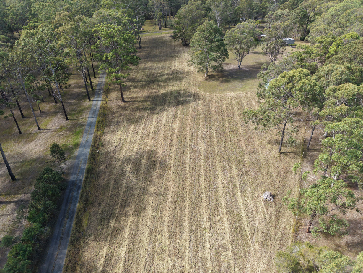 Service area aerial view of cleared land with trees and a dirt road. Perfect for property development or rural living.